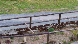 Nastupní stanice vleku