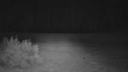 Nastupní stanice vleku