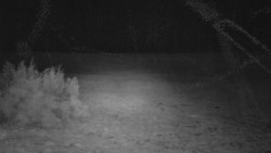 Nastupní stanice vleku