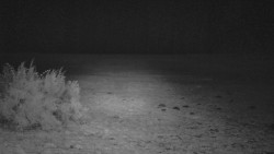 Nastupní stanice vleku