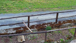 Nastupní stanice vleku