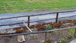 Nastupní stanice vleku