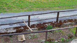 Nastupní stanice vleku