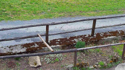 Nastupní stanice vleku