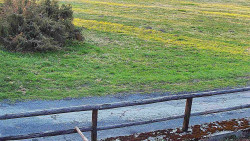 Nastupní stanice vleku