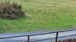 Nastupní stanice vleku