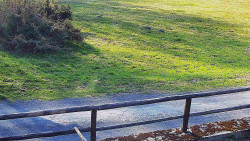 Nastupní stanice vleku