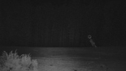 Nastupní stanice vleku