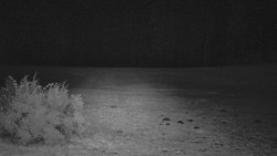 Nastupní stanice vleku