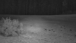 Nastupní stanice vleku