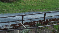 Nastupní stanice vleku