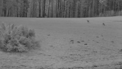 Nastupní stanice vleku