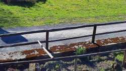 Nastupní stanice vleku