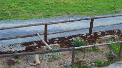 Nastupní stanice vleku