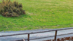 Nastupní stanice vleku