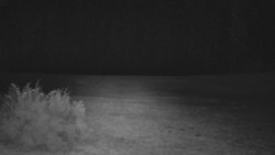 Nastupní stanice vleku