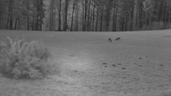 Nastupní stanice vleku