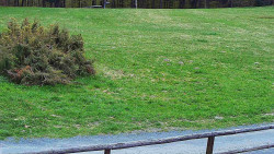 Nastupní stanice vleku