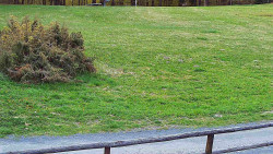 Nastupní stanice vleku