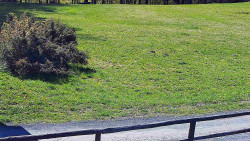 Nastupní stanice vleku