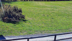 Nastupní stanice vleku