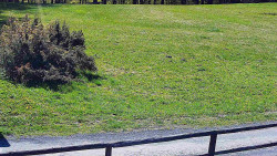 Nastupní stanice vleku