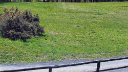 Nastupní stanice vleku