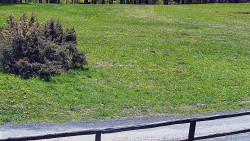 Nastupní stanice vleku