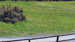 Nastupní stanice vleku