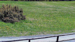 Nastupní stanice vleku