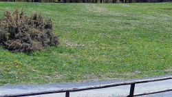 Nastupní stanice vleku