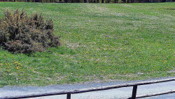 Nastupní stanice vleku