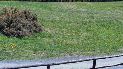 Nastupní stanice vleku