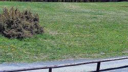 Nastupní stanice vleku