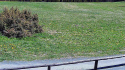 Nastupní stanice vleku