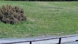 Nastupní stanice vleku