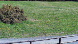 Nastupní stanice vleku