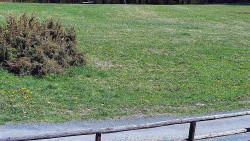 Nastupní stanice vleku