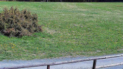 Nastupní stanice vleku