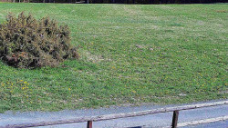 Nastupní stanice vleku