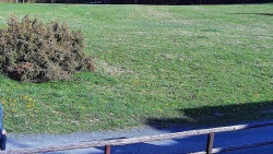 Nastupní stanice vleku