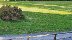 Nastupní stanice vleku