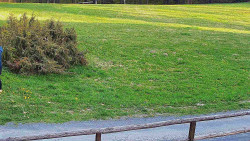 Nastupní stanice vleku