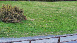 Nastupní stanice vleku