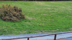 Nastupní stanice vleku