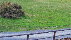 Nastupní stanice vleku