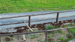 Nastupní stanice vleku