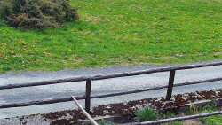 Nastupní stanice vleku