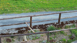 Nastupní stanice vleku