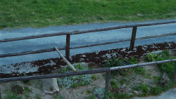 Nastupní stanice vleku